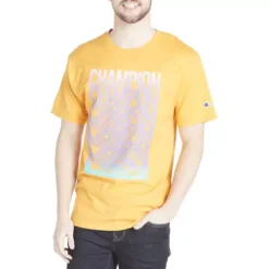 Men's Champion Melting Graphic Classic Graphic T-Shirt